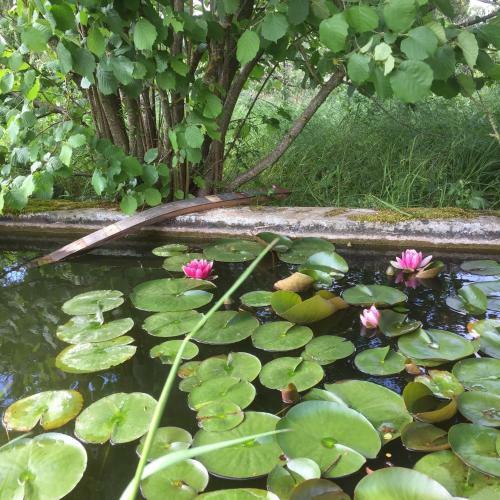 Bed & Breakfast L'atelier Expo Du Grand Island