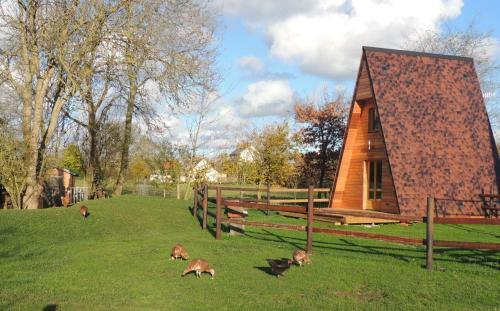 Lodges Les Pieris