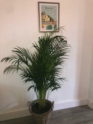 Apartamento Port Marie