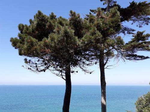 Apartamento Granville Plage Plat Gousset