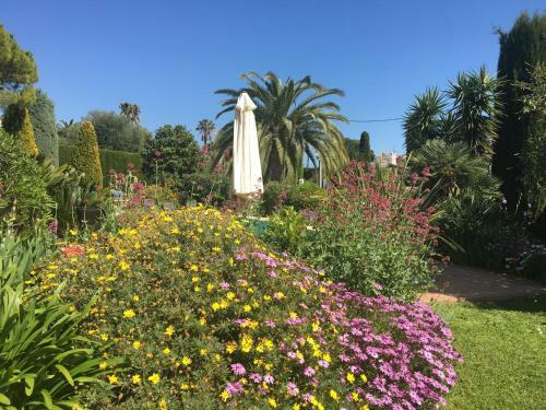 Apartamento Vallis Aurea