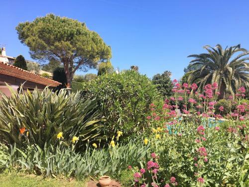 Apartamento Vallis Aurea