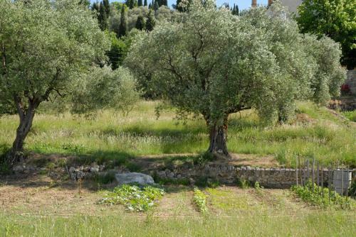Bed & Breakfast Chambres D'h�tes Il Monticello
