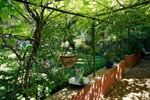 Bed & Breakfast Chambres D'h�tes Il Monticello