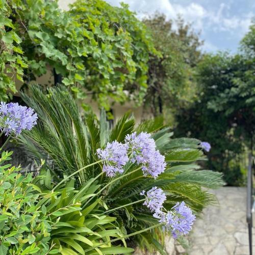 Hostal Bastide A�na