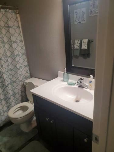 Apartamento 5 Min Walk 2 Memorial Staudim Over 1000 Sq Ft