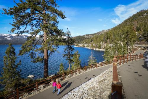 North Tahoe Nest