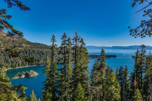 Gondola Vista - Promised Land - #5
