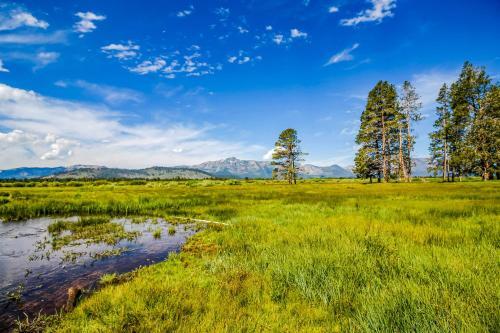 Gondola Vista - Killabrew - #14