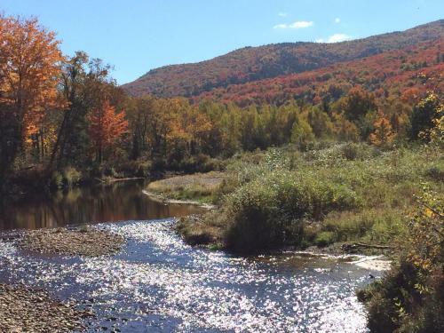 Villa Bc Log Cabin With Private Beach, River, Fire Pit, Ac, Wifi, Onsite Trails, Ski Slope Views