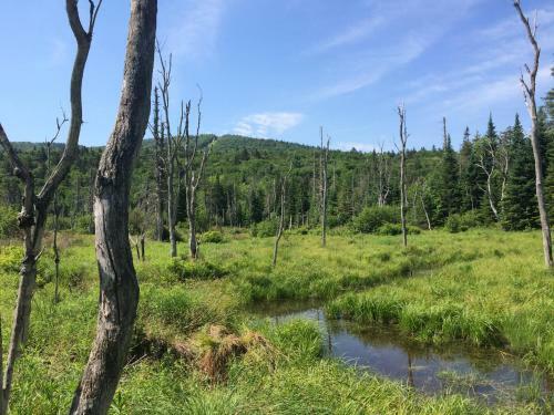 Villa Bc Log Cabin With Private Beach, River, Fire Pit, Ac, Wifi, Onsite Trails, Ski Slope Views
