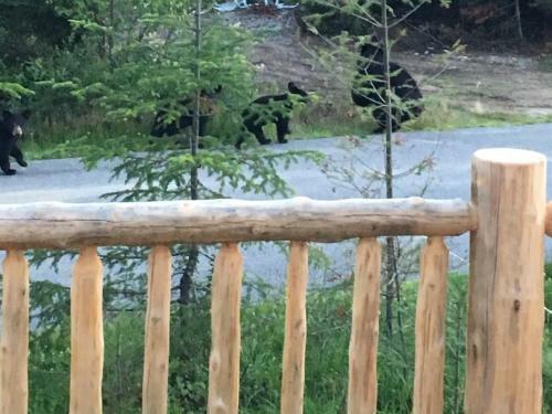 Villa Bc Log Cabin With Private Beach, River, Fire Pit, Ac, Wifi, Onsite Trails, Ski Slope Views