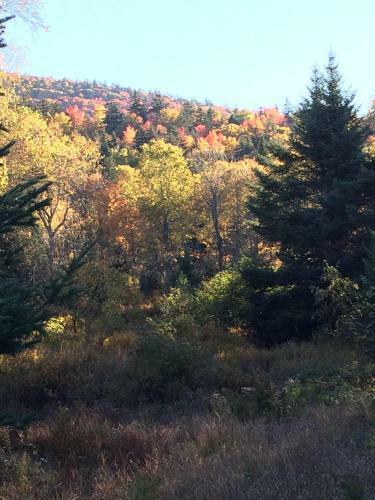 Villa Bc Log Cabin With Private Beach, River, Fire Pit, Ac, Wifi, Onsite Trails, Ski Slope Views