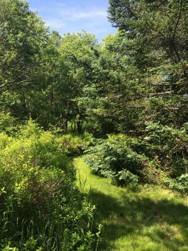 Villa Bc Log Cabin With Private Beach, River, Fire Pit, Ac, Wifi, Onsite Trails, Ski Slope Views