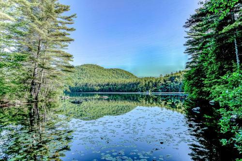 Down By The Bay On Mirror Lake