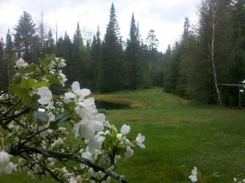 Hotel Carlson's Lodge