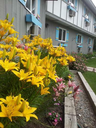 Hotel Carlson's Lodge