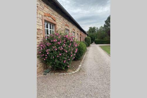 Apartamento Le Moulin De Gresswiller