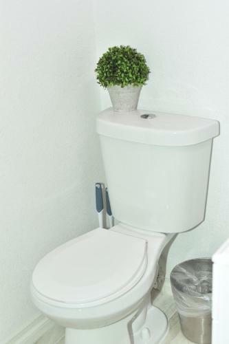 Apartamento Luxury Stay At Modern House