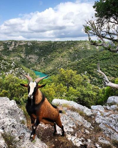 Apartamento Studio �l�gant & Moderne - Entre Lavande Et Gorges Du Verdon