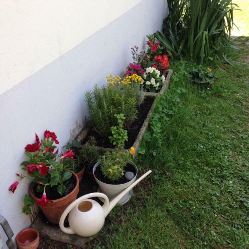 Bed & Breakfast Villa Toulousaine