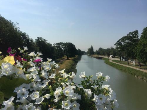Bed & Breakfast Villa Toulousaine