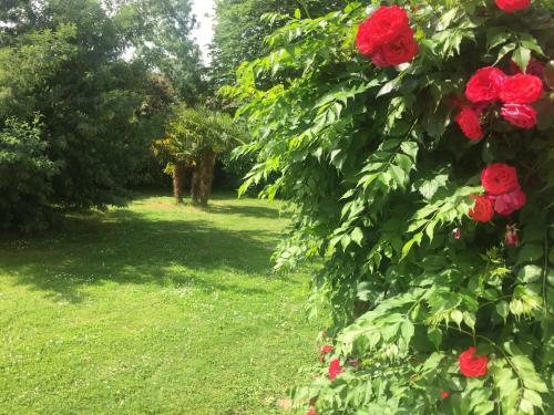 Bed & Breakfast Villa Toulousaine