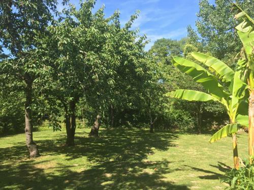 Bed & Breakfast Villa Toulousaine