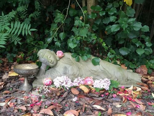 Bed & Breakfast Villa Toulousaine