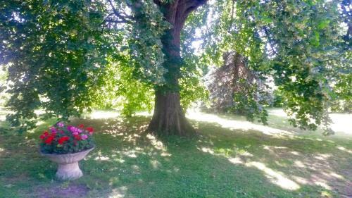 Bed & Breakfast Villa Toulousaine