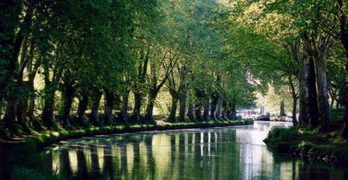 Bed & Breakfast Villa Toulousaine
