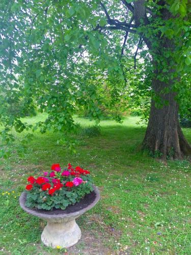 Bed & Breakfast Villa Toulousaine