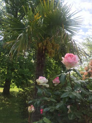 Bed & Breakfast Villa Toulousaine