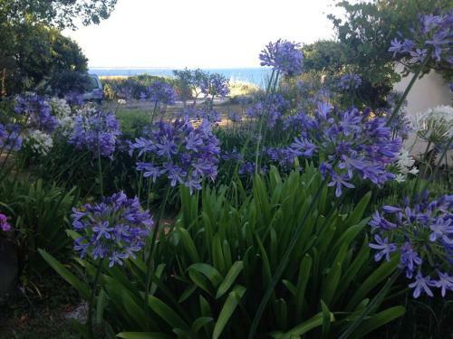 Bed & Breakfast L'�cume De Mer