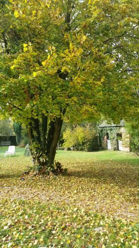 Hostal Les Cl�s D'auriane