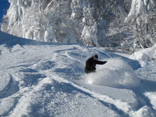 Hotel Inn At Snowshoe