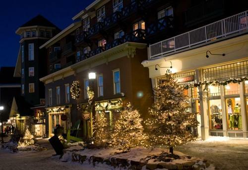 Hotel Inn At Snowshoe
