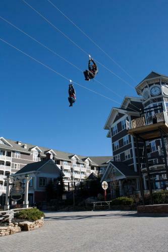 Hotel Inn At Snowshoe