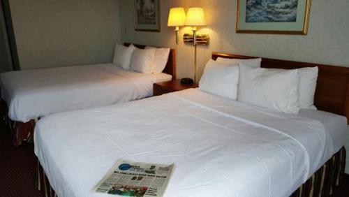 Plaza Hotel & Suites