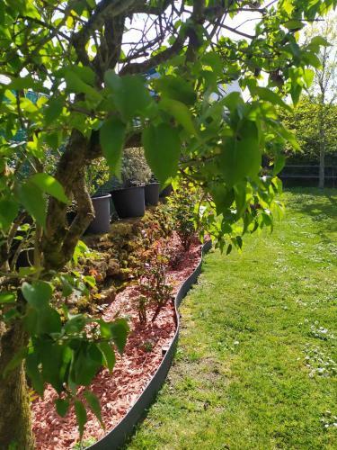 Bed & Breakfast Grande Chambre Lumineuse Et Spacieuse 22m2