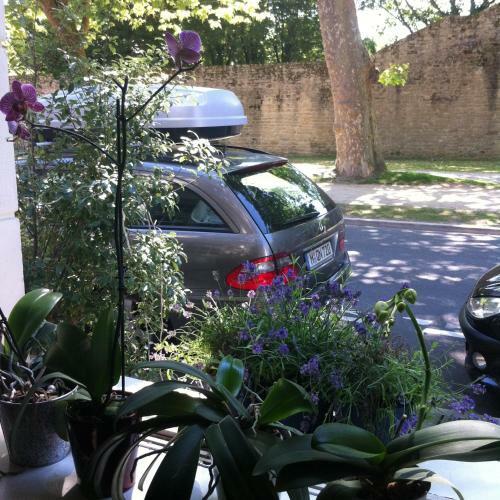 Hotel H�tel Les Remp'arts