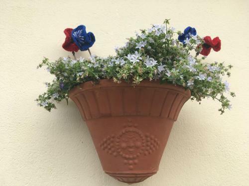 Bleu Et Coquelicot