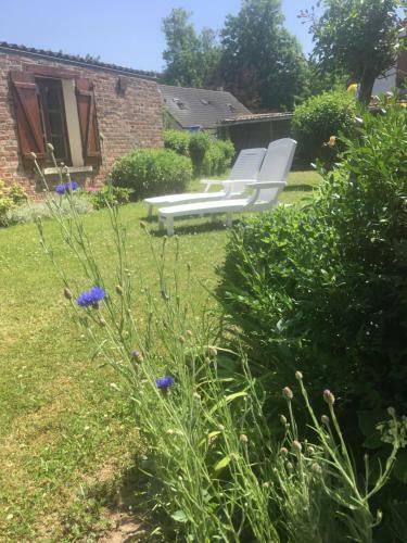 Bleu Et Coquelicot