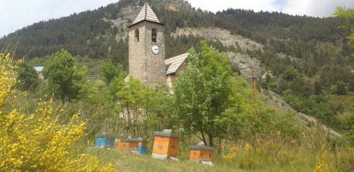 Apibus Domus - Chris Et St�ph