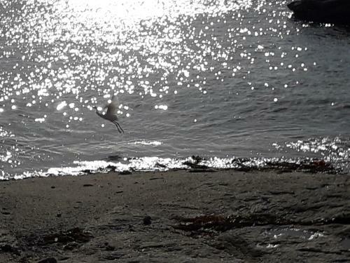 Apartamento Appartement Proche De La Mer