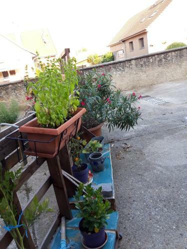 G�te De La Ferme