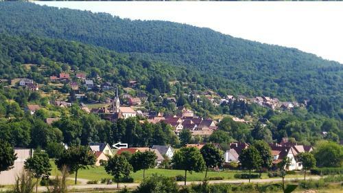 Bed & Breakfast Alsace Nature Et D�couvertes