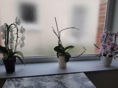 Apartamento Chambres � La Campagne Pr�s D'auxerre