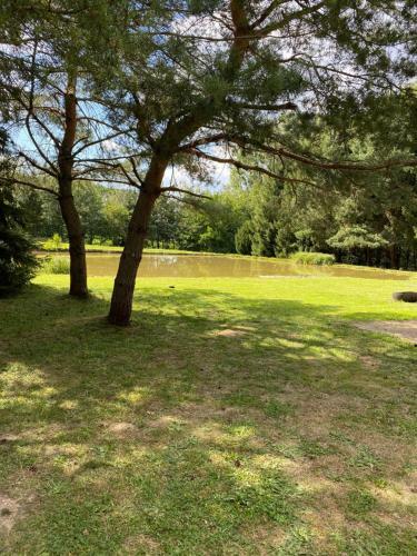 Apartamento Charmant Studio � Haguenau, � 25mn de Strasbourg
