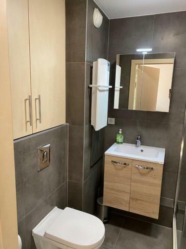 Apartamento Charmant Studio � Haguenau, � 25mn de Strasbourg